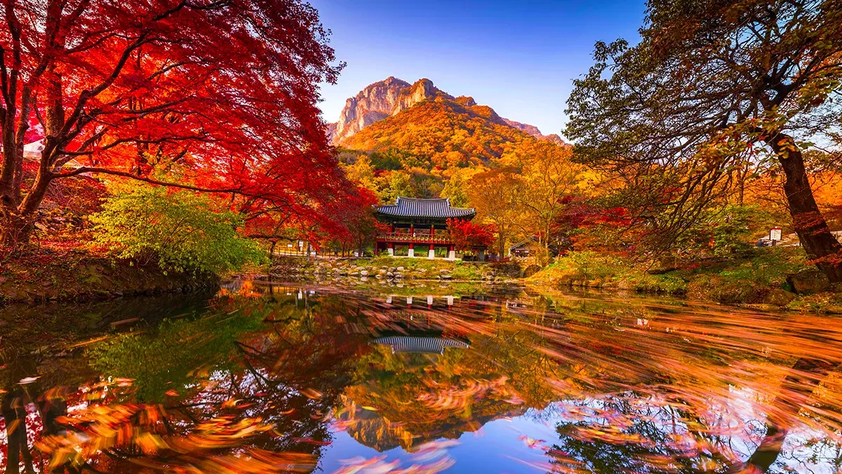 baegyangsa-temple-autumn-foliage-1.webp