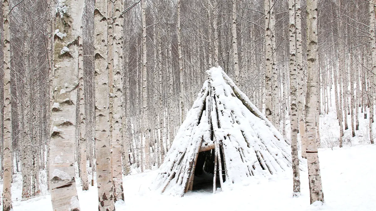 inje-wondae-birch-forest-winter-hike6.webp