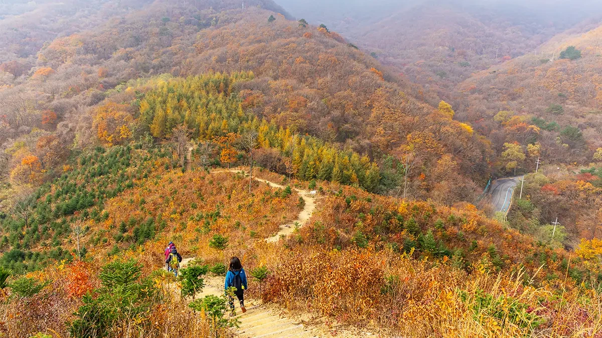 dmz-punchbowl-trail1.webp