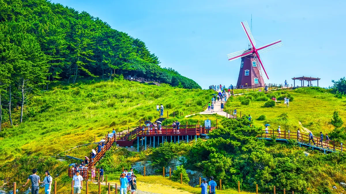 geoje-wind-hill-scenic-healing-spot5.webp