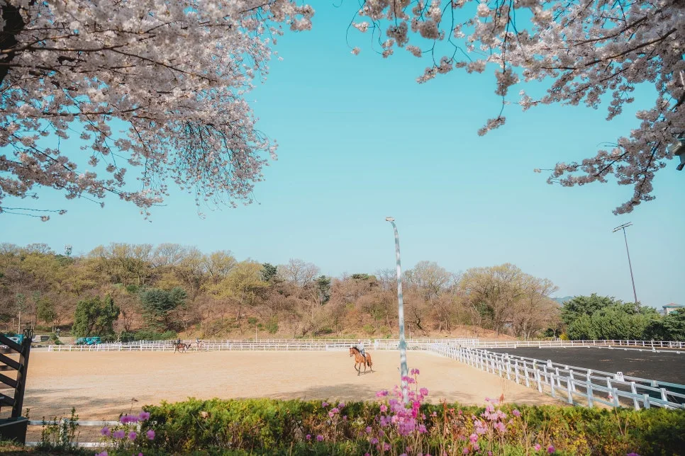 %EC%8A%B9%EB%A7%88_%EB%B2%9A%EA%BD%83.jpg?type=w3840