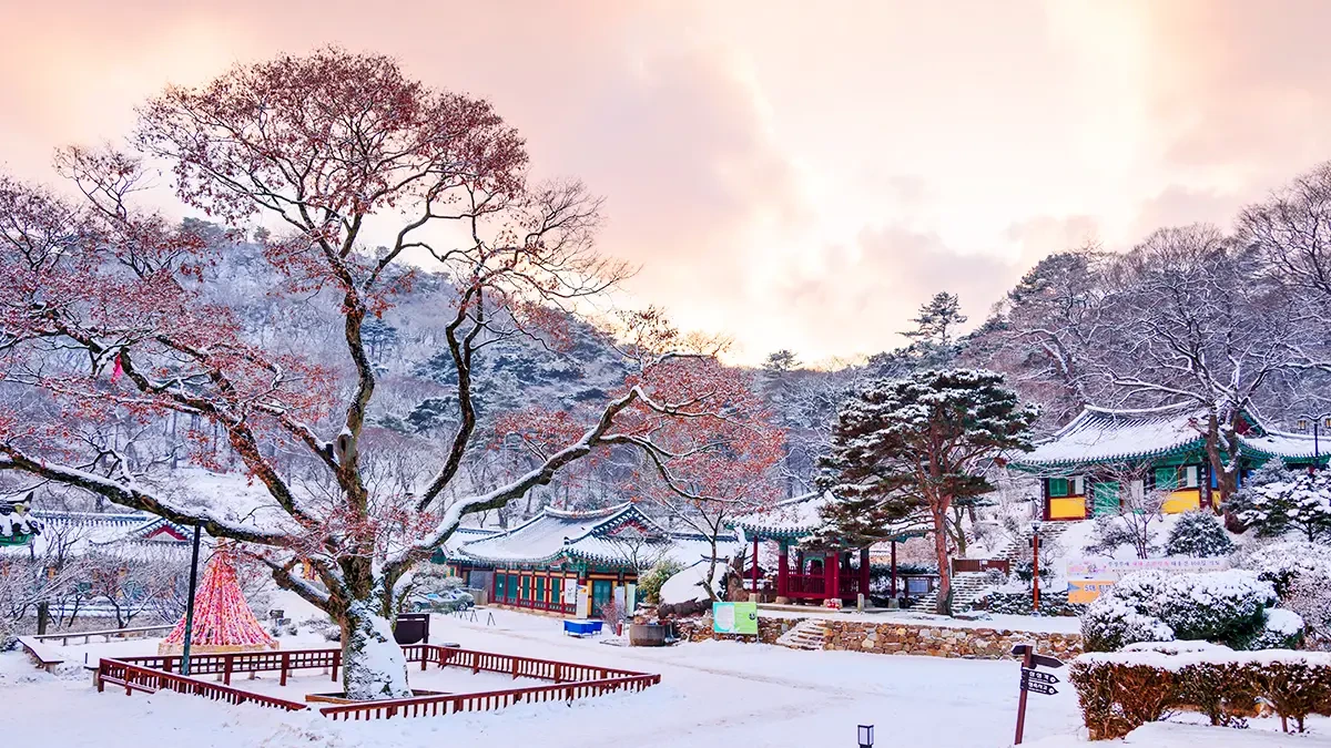 jeondeungsa-winter-scenery-ancient-temple2.webp