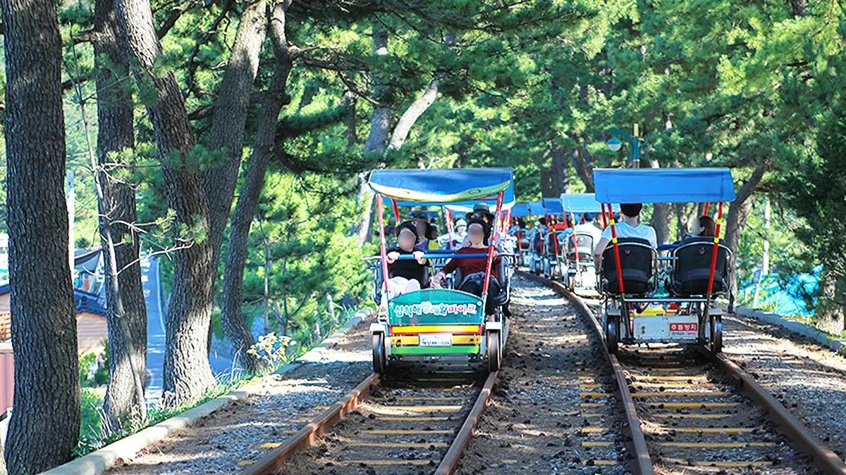 samcheok-ocean-railbike-guide1.webp