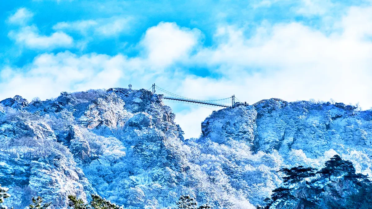 baegasan-sky-bridge-winter-scenery-hwasun2.webp