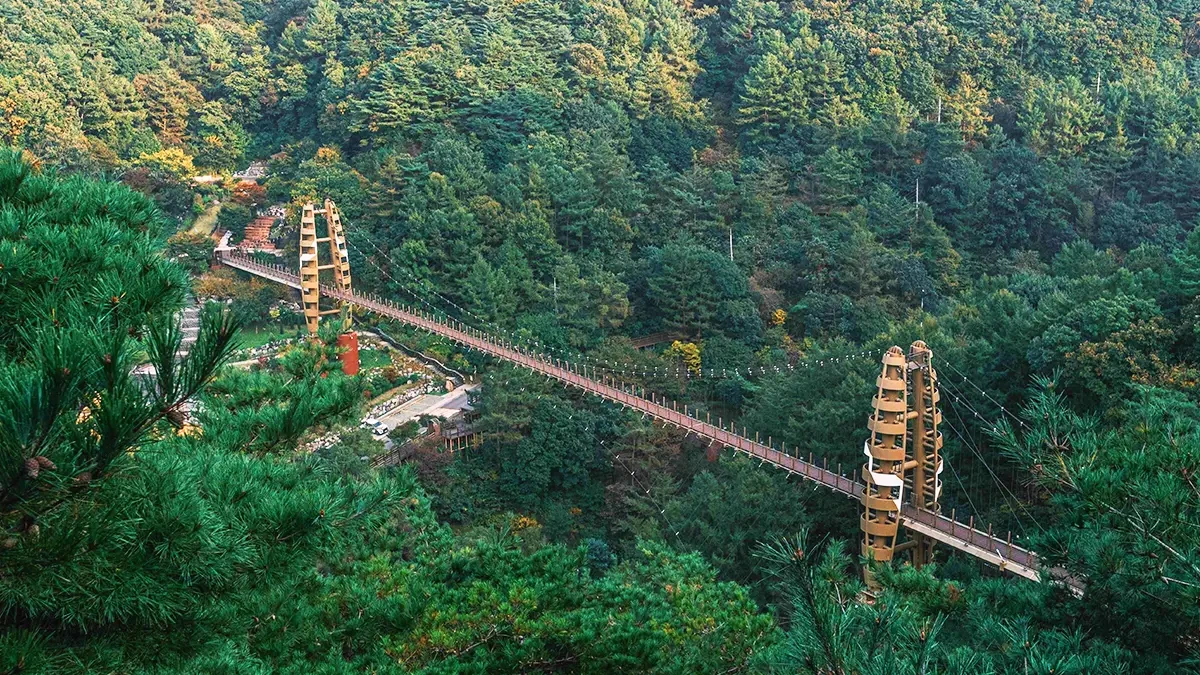 jeungpyeong-jwagusan-accessible-suspension-bridge2.webp