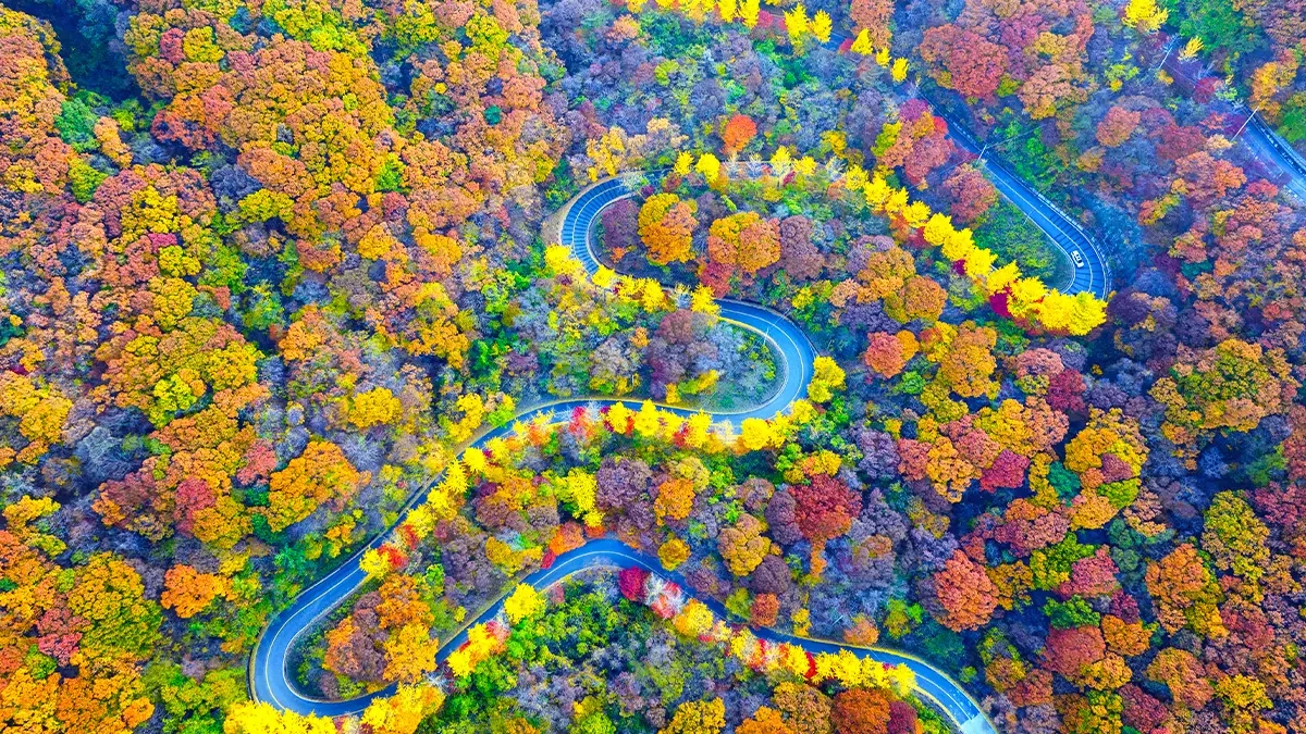jeoksangsan-autumn-drive2.webp