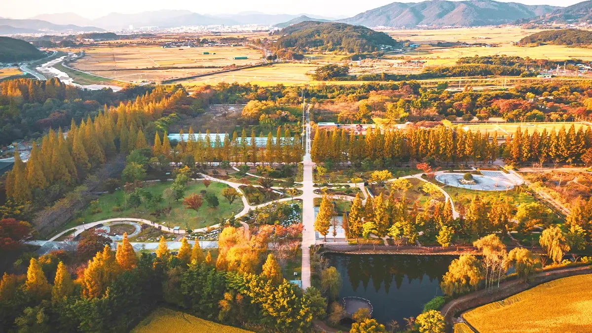gyeongbuk-millennium-forest-garden-autumn-foliage2.webp
