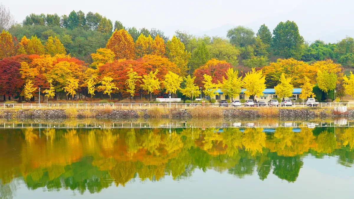 misa-gyeongjeong-park-autumn2.webp