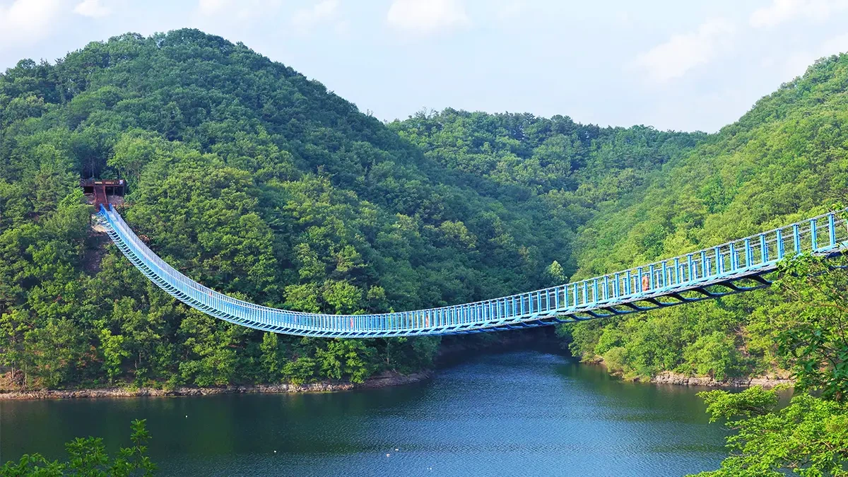 jincheon-chopyeongho-mir309-longest-pylon-free-bridge1.webp