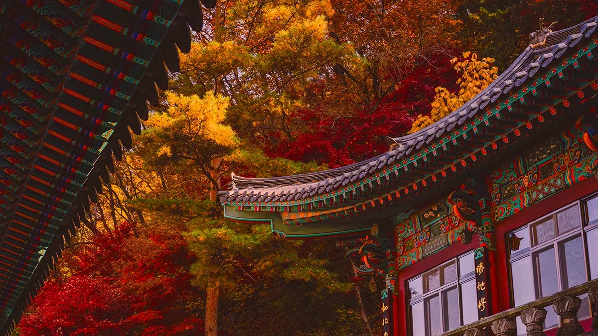Danyang-Guinsa-Temple-Autumn-Foliage-Trip-3.webp