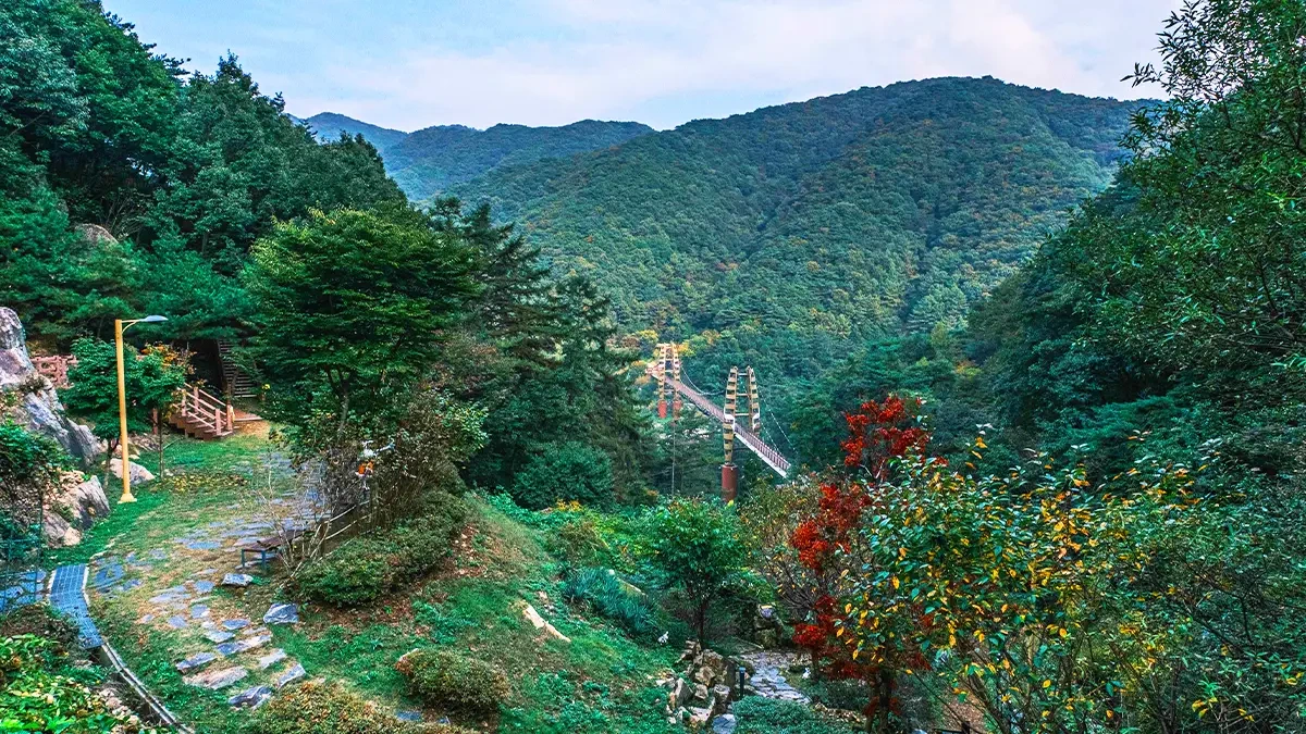 jeungpyeong-jwagusan-accessible-suspension-bridge6.webp