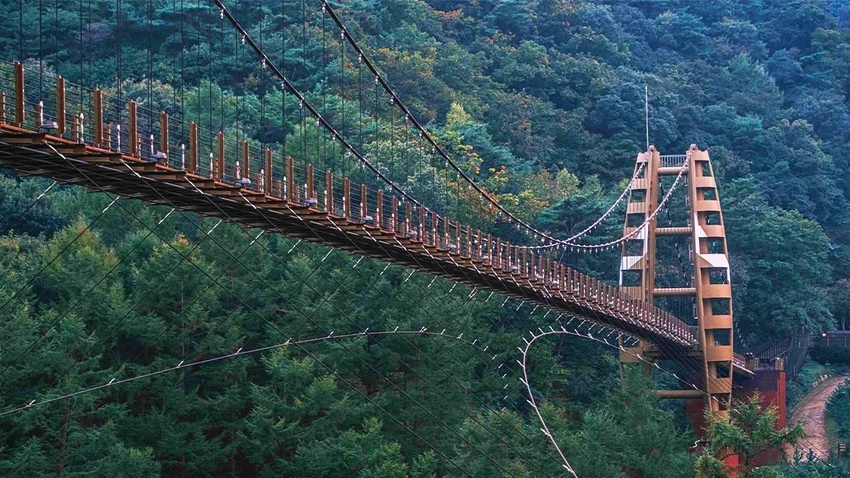 jeungpyeong-jwagusan-accessible-suspension-bridge3.webp