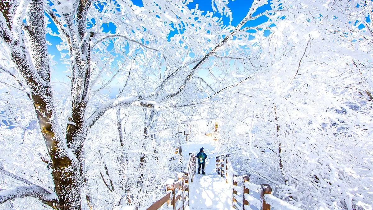 daedunsan-geumgang-cloud-bridge-winter-trekking5.webp