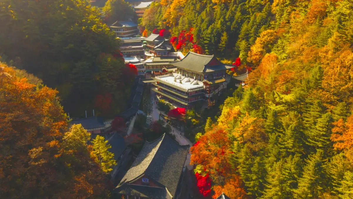 Danyang-Guinsa-Temple-Autumn-Foliage-Trip-1.webp