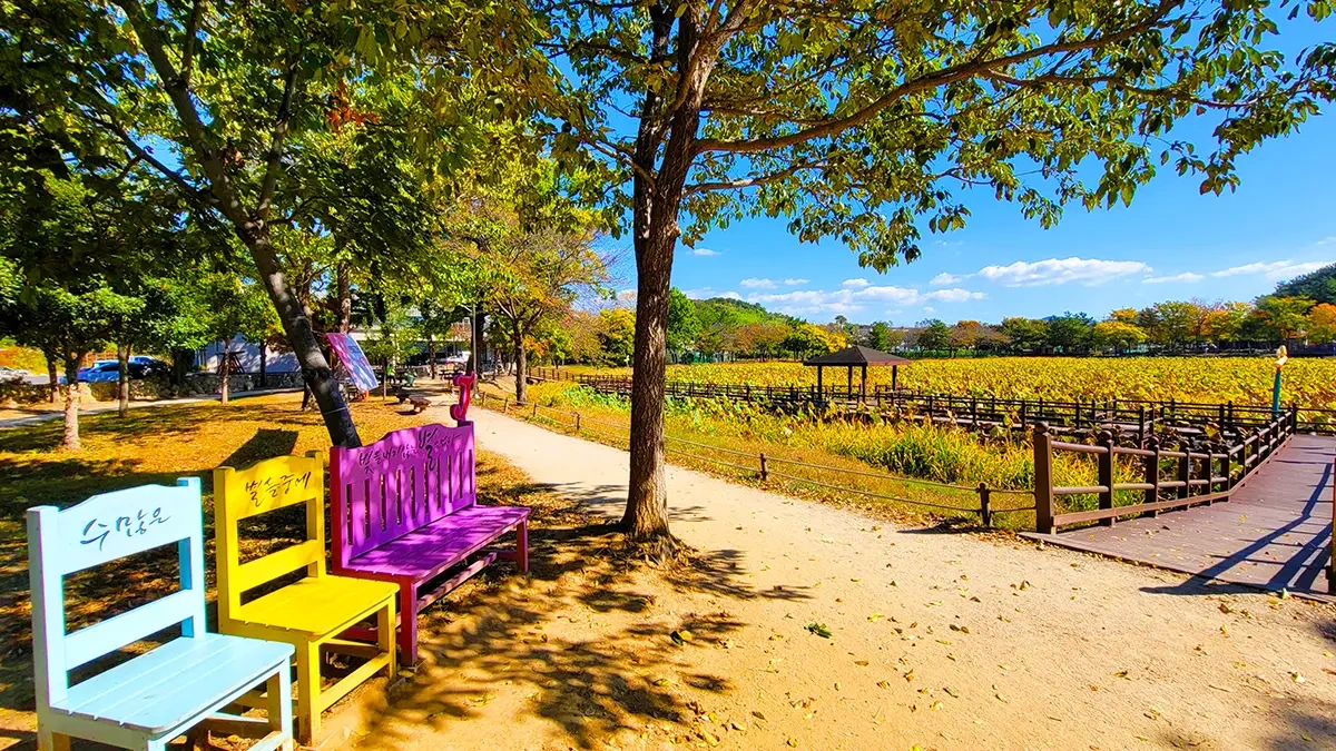 jinju-gangju-pond-eco-park-4.webp