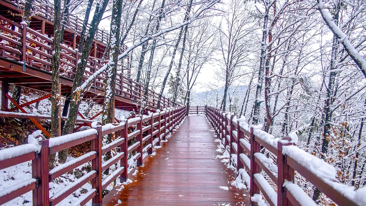 danyang-mancheonha-skywalk-winter-snow2.webp