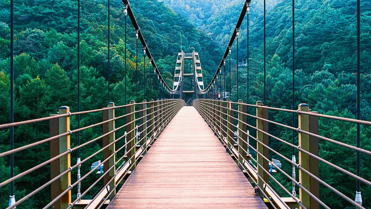 jeungpyeong-jwagusan-accessible-suspension-bridge5.webp