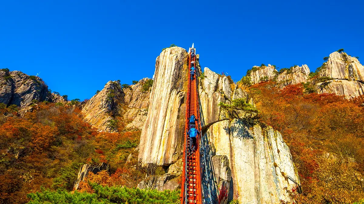 daedunsan-park-wanju-geumgang-bridge-samseon-2.webp