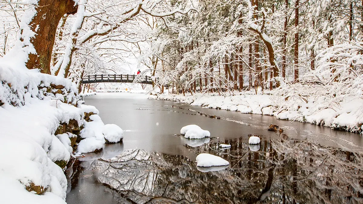 baegyangsa-winter-snow-temple-trail5.webp