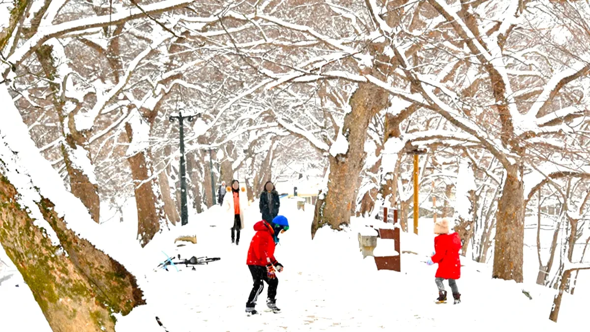 damyang-gwanbangjerim-winter-snow4.webp