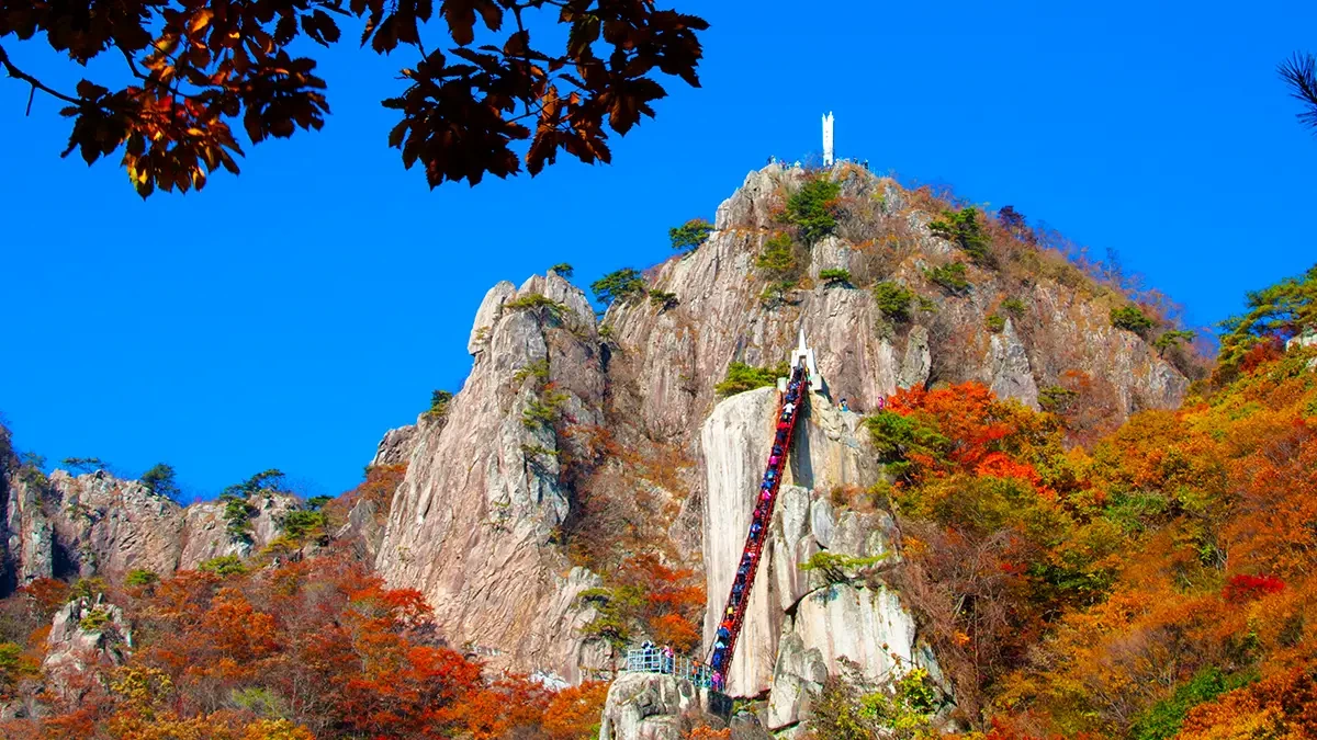 daedunsan-park-wanju-geumgang-bridge-samseon-5.webp