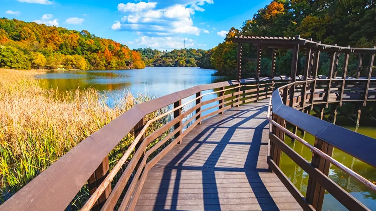 ulsan-seonam-lake-park-autumn1.webp