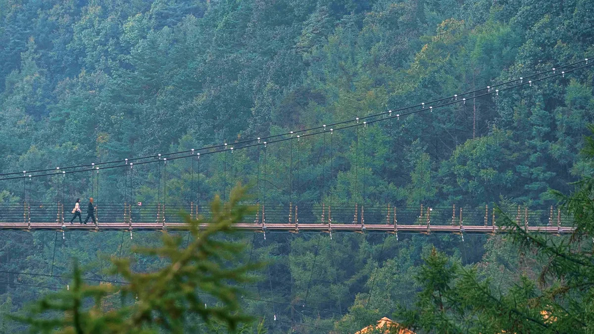 jeungpyeong-jwagusan-accessible-suspension-bridge4.webp