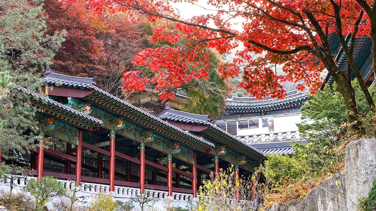 danyang-guinsa-temple-autumn2.webp