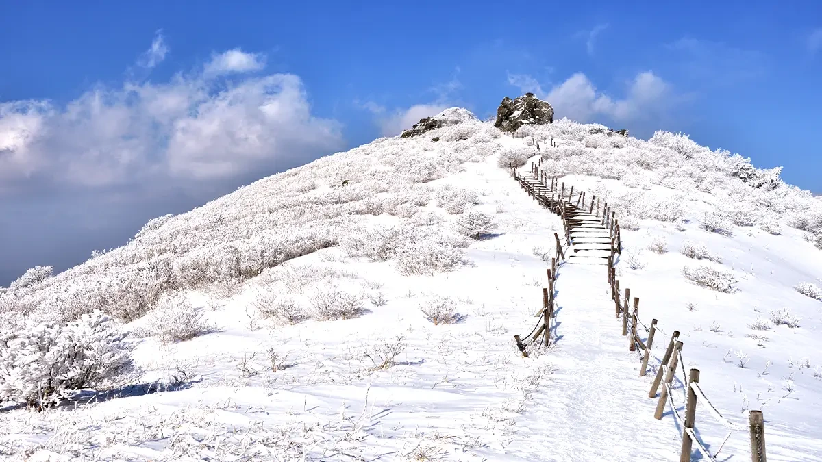 sobaeksan-winter-mountain-climbing4.webp