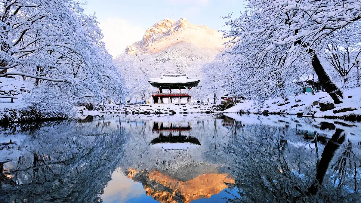 baegyangsa-winter-snow-temple-trail3.webp