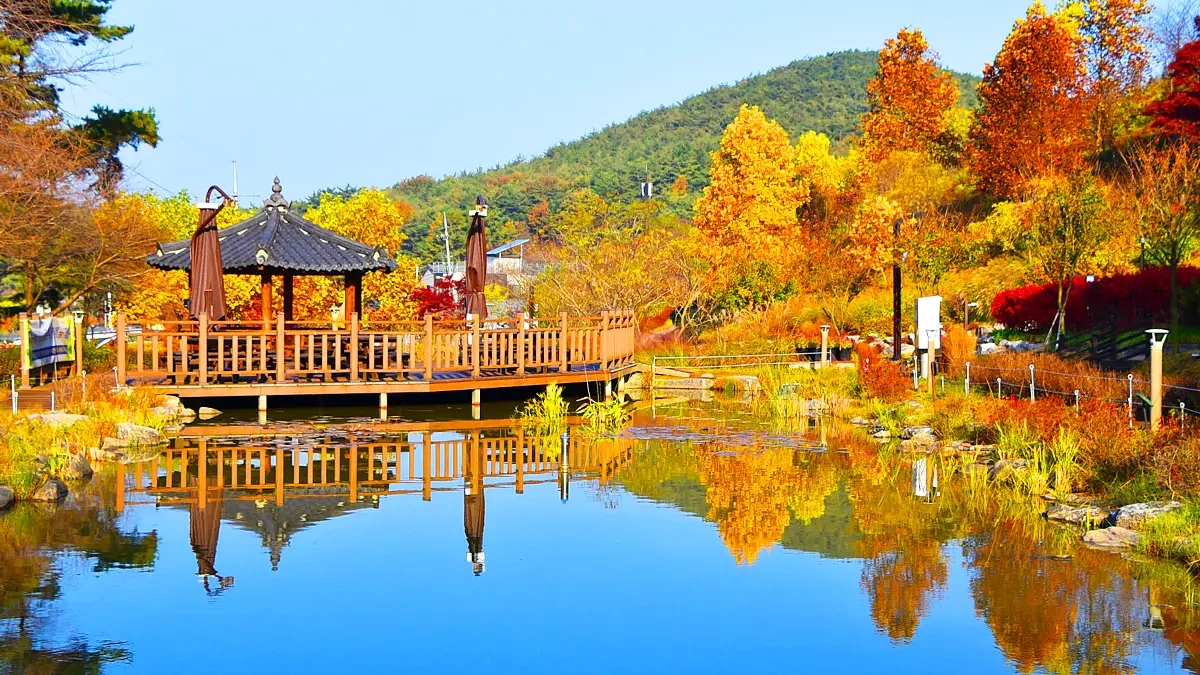 dangjin-samseonsan-arboretum-autumn2.webp