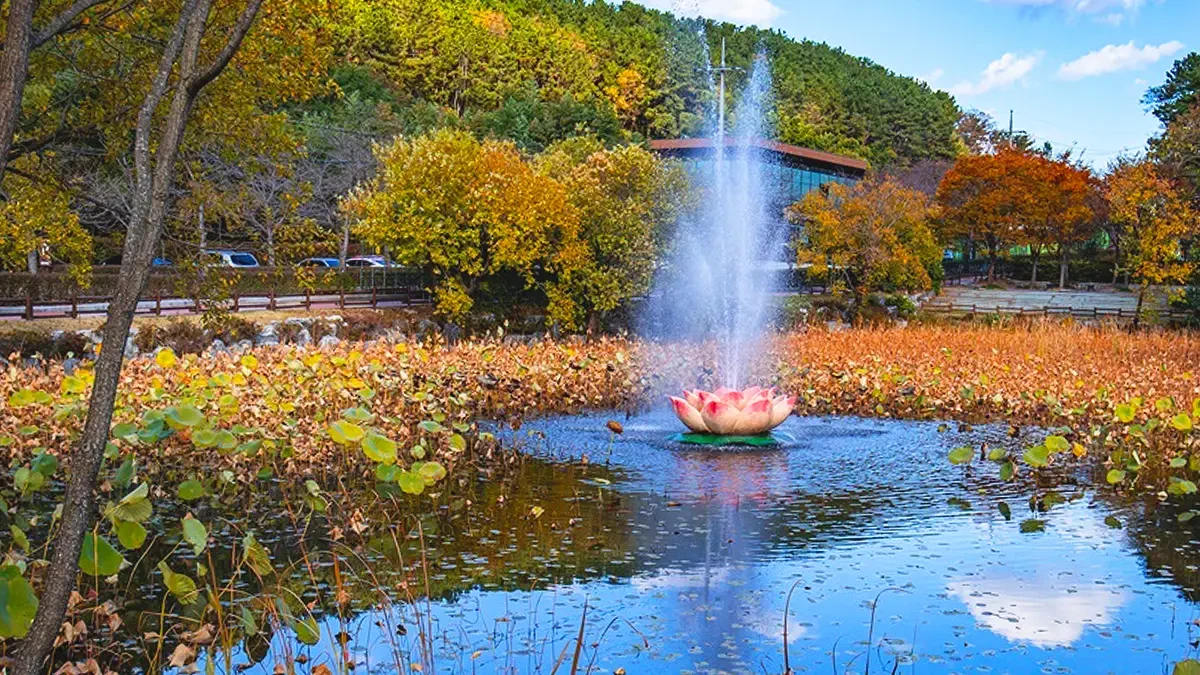 ulsan-seonam-lake-park-autumn2.webp