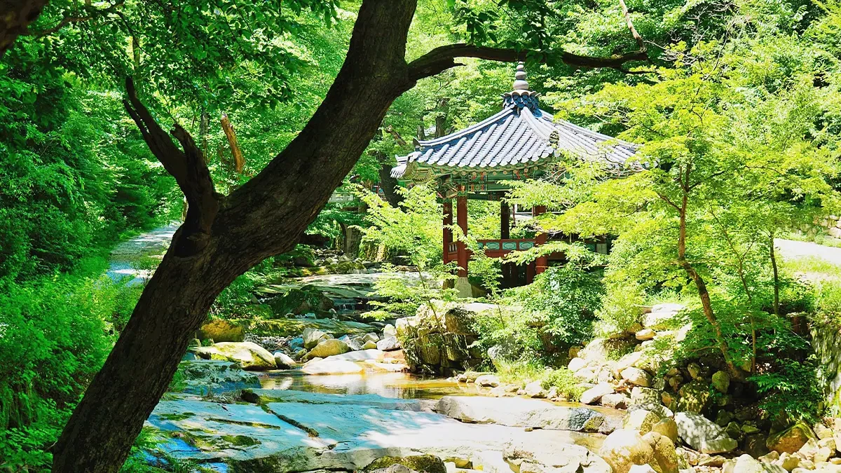 gyeryongsan-donghaksa-valley-summer4.webp