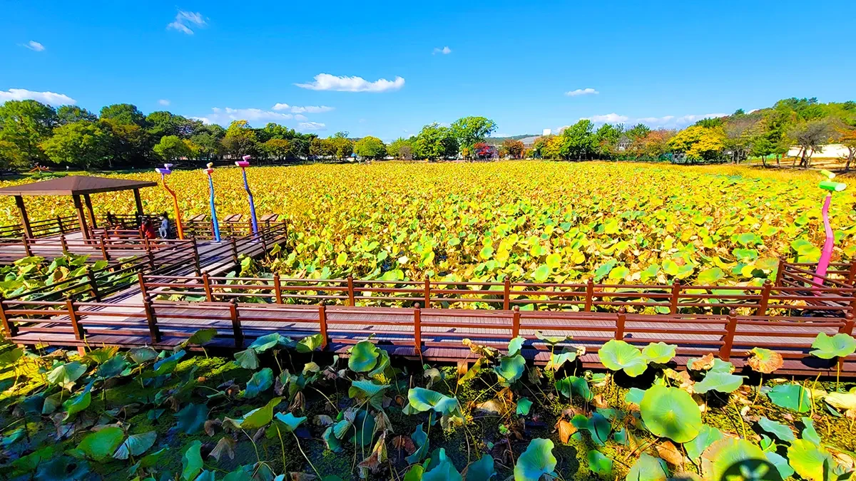 jinju-gangju-pond-eco-park-1.webp