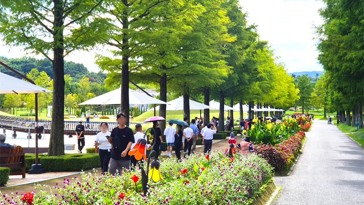 suncheonman-bay-national-garden-korea5.webp