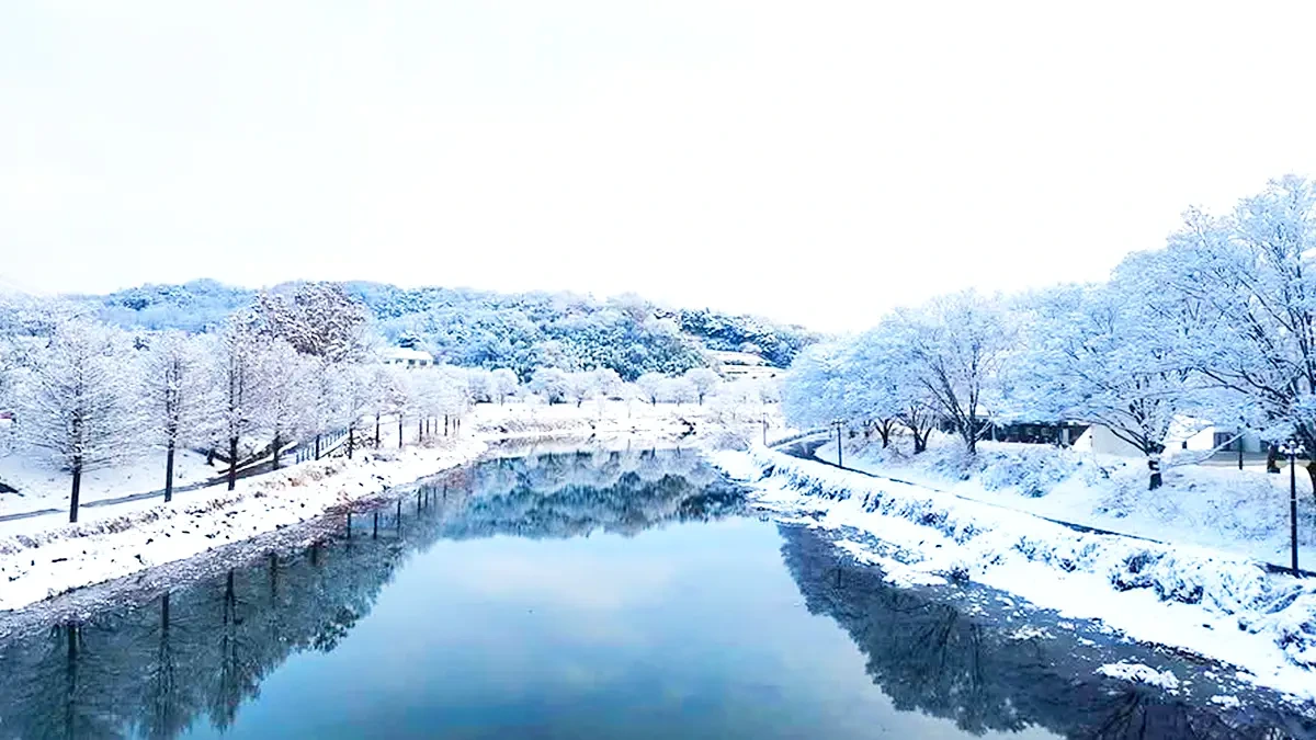 damyang-gwanbangjerim-winter-snow1.webp