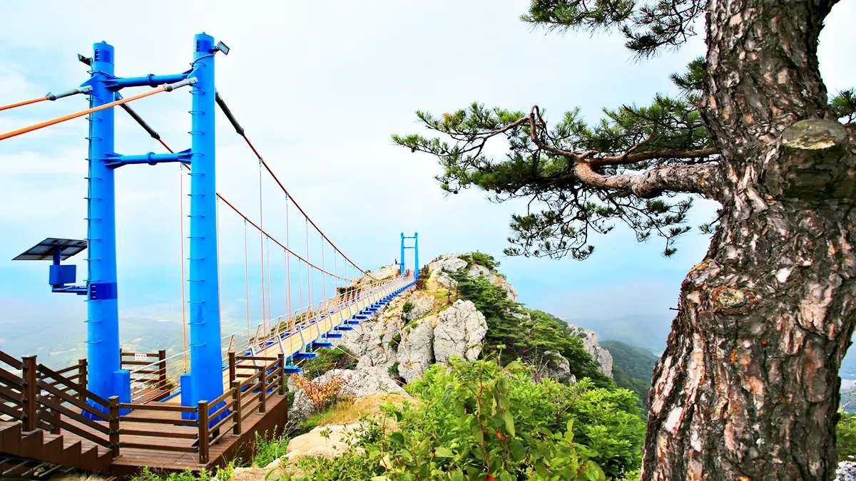 baegasan-sky-bridge-winter-scenery-hwasun4.webp