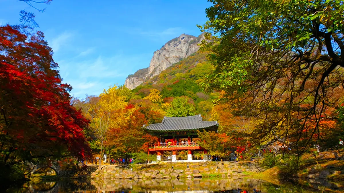 baegyangsa-temple-autumn-foliage-3.webp