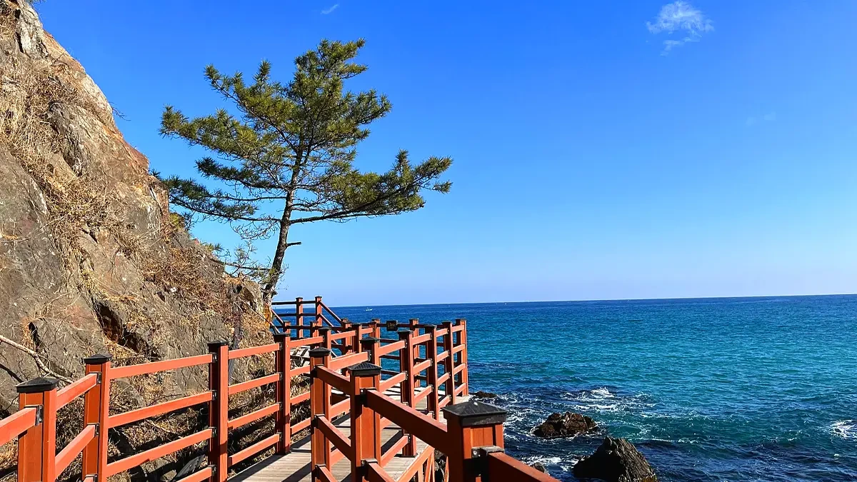 samcheok-deokbongsan-coastal-trail-guide4.webp