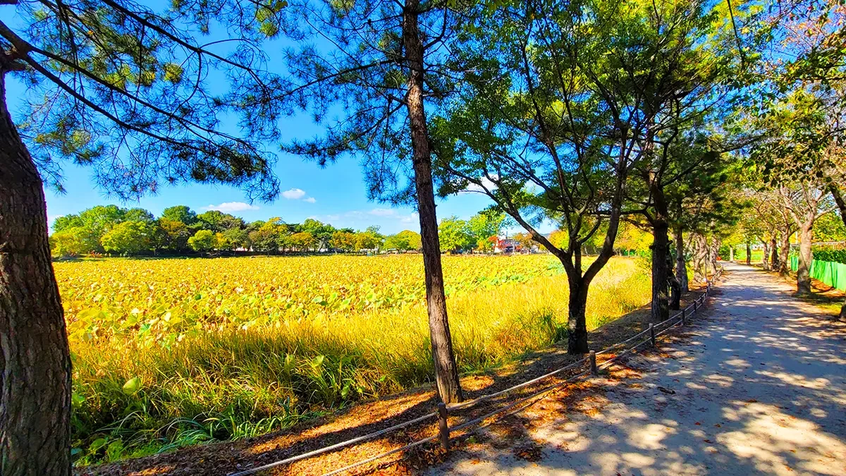 jinju-gangju-pond-eco-park-2.webp