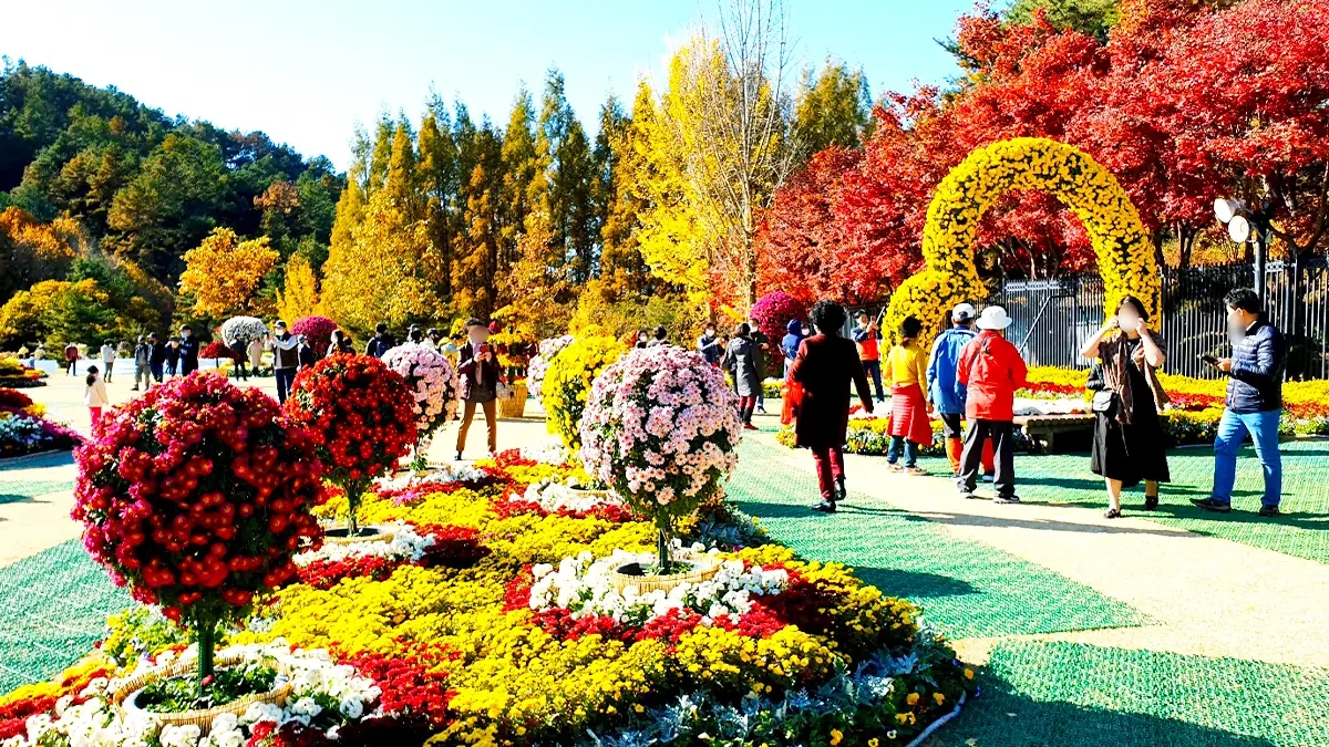 cheongnamdae-autumn4.webp