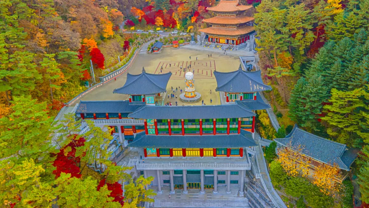Danyang-Guinsa-Temple-Autumn-Foliage-Trip-2.webp