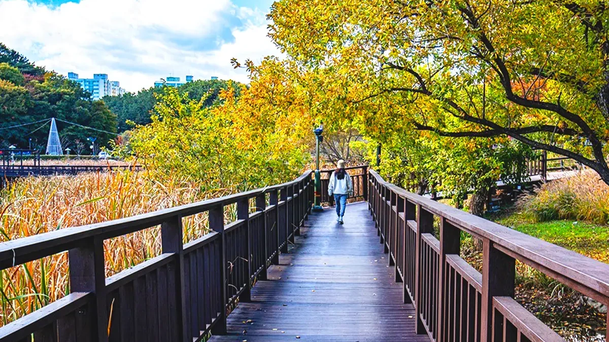 ulsan-seonam-lake-park-autumn3.webp