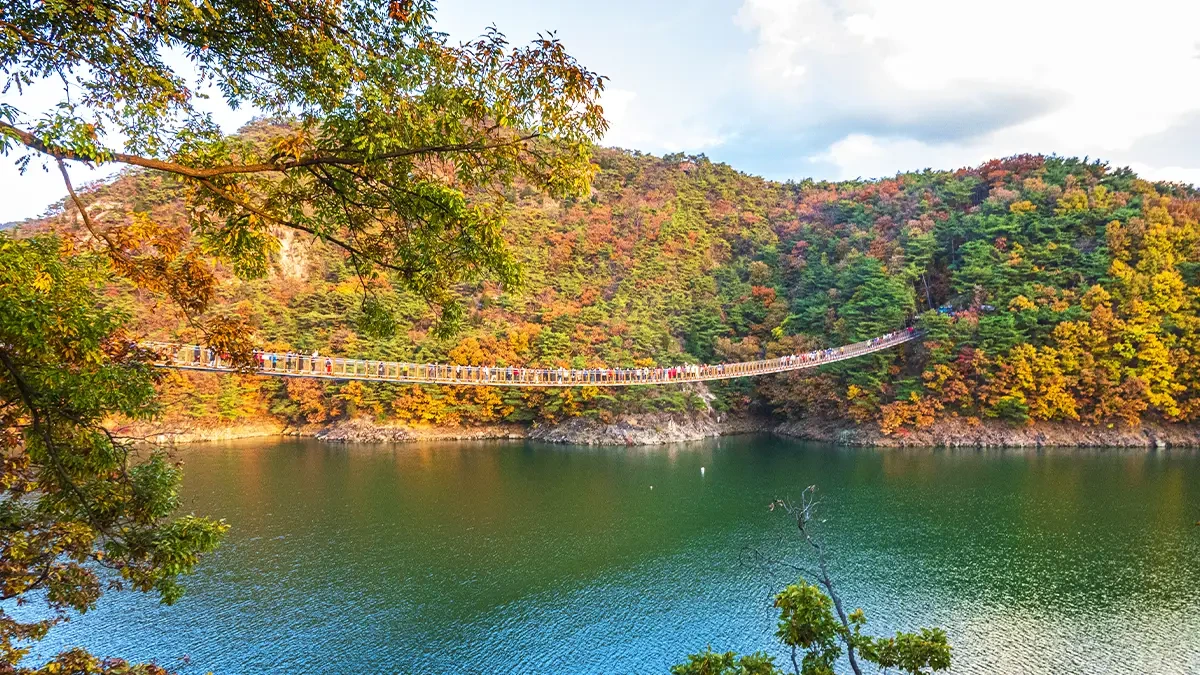 jecheon-oksunbong-suspension-bridge-guide1.webp