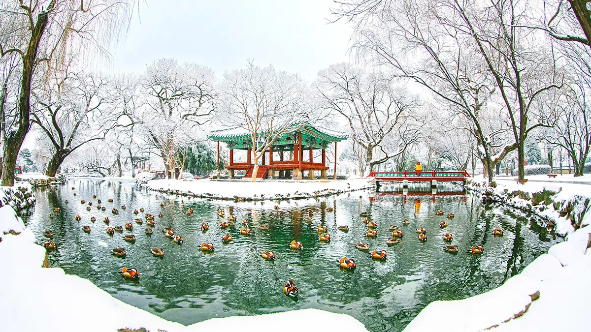 gwanghallu-winter-snow-nightscape-namwon1.webp