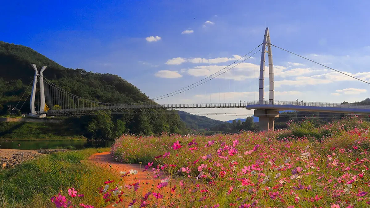 gokseong-daehwanggang-bridge-free-trekking-4.webp