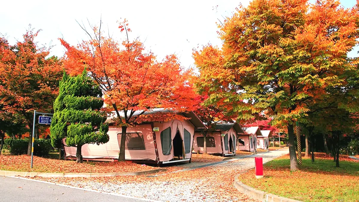 ansan-hwarang-park2.webp