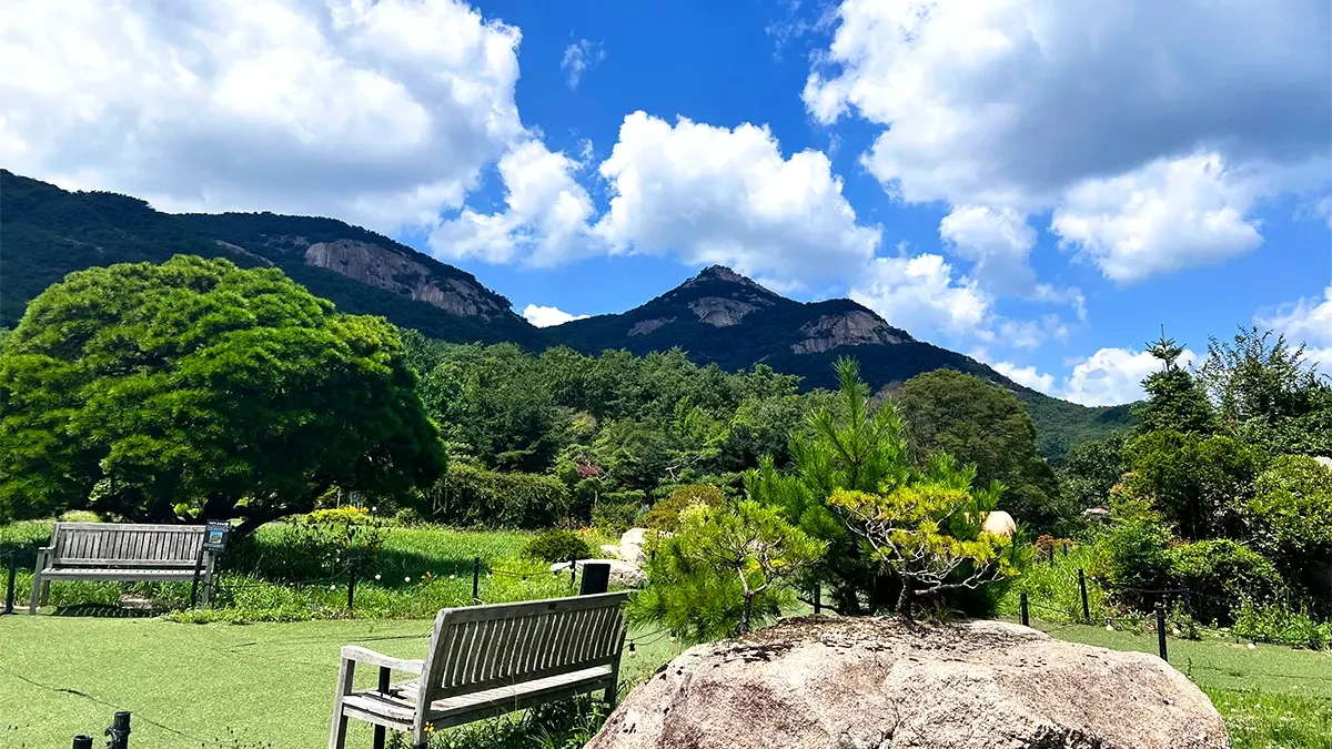 namyangju-sandulsori-arboretum-wellness5.webp