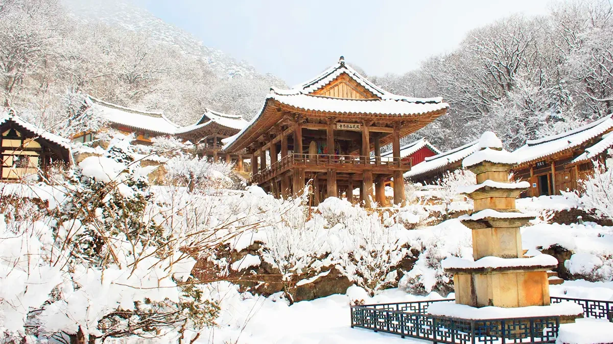 buseoksa-winter-snow-heritage-temple4.webp