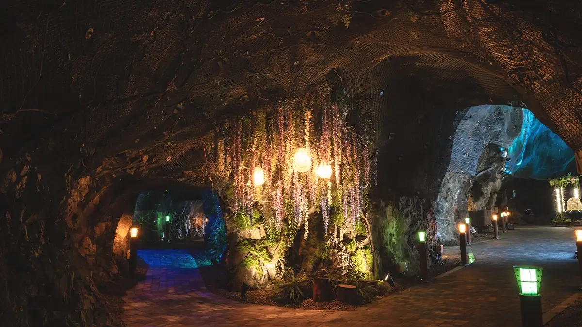 okcheon-jangryeongsan-forest-cave-revival3.webp